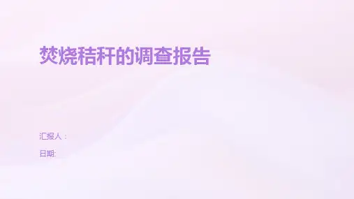 焚烧秸秆的调查报告