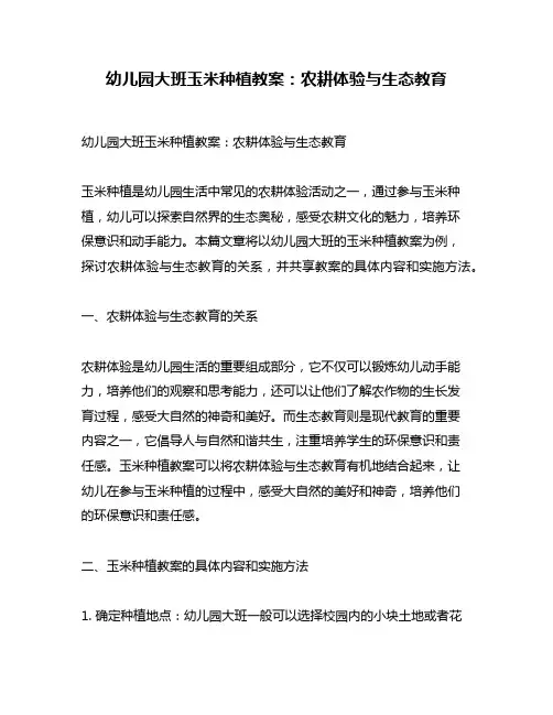 幼儿园大班玉米种植教案：农耕体验与生态教育