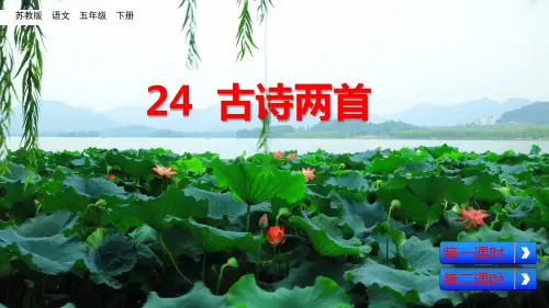 苏教版五年级下册语文《24 古诗两首》课件(共56张PPT)