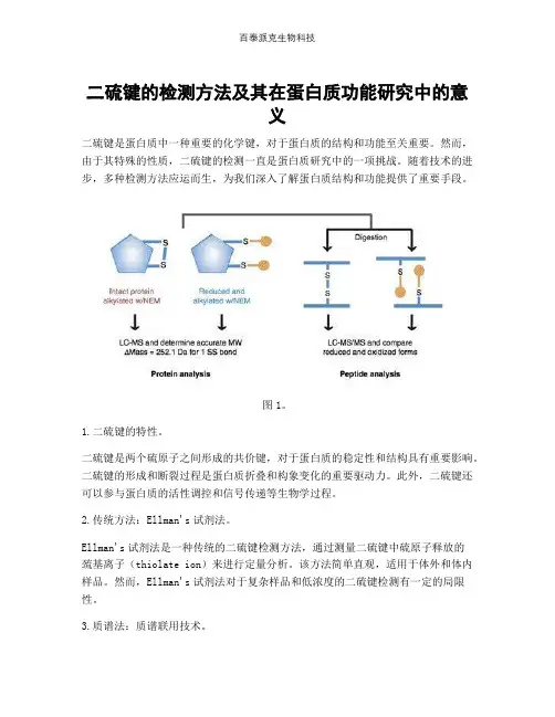 二硫键的检测方法及其在蛋白质功能研究中的意义