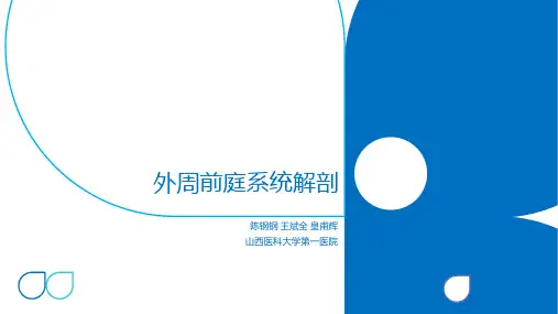 外周前庭系统解剖