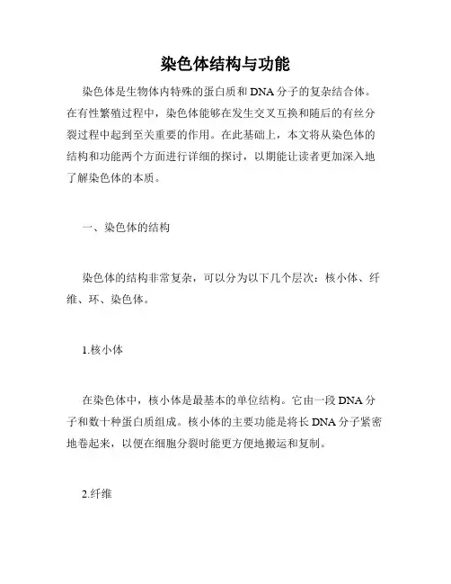 染色体结构与功能