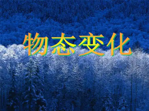 人教版八年级物理上册课件：第三章物态变化 (共42张PPT)