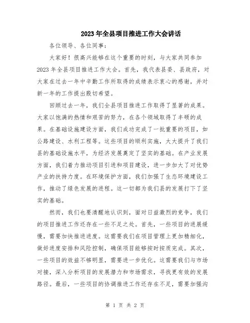 2023年全县项目推进工作大会讲话