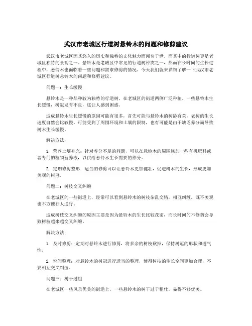 武汉市老城区行道树悬铃木的问题和修剪建议