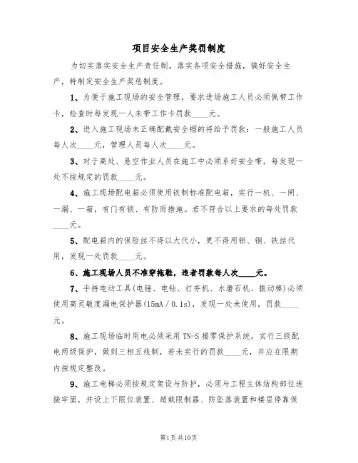 项目安全生产奖罚制度(5篇)