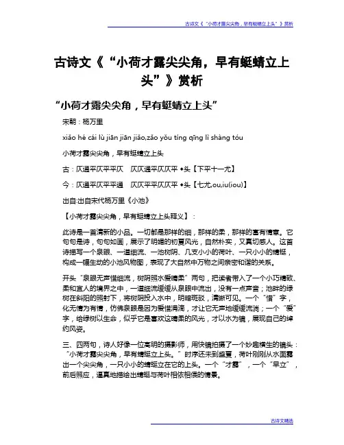 古诗文《“小荷才露尖尖角,早有蜓蜻立上头”》赏析