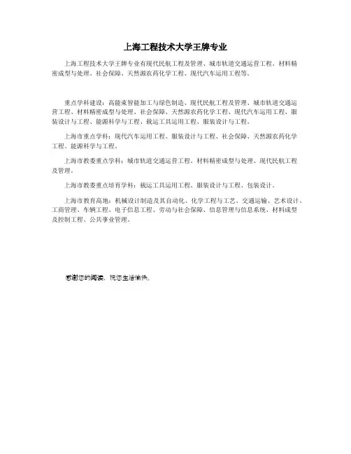 上海工程技术大学王牌专业