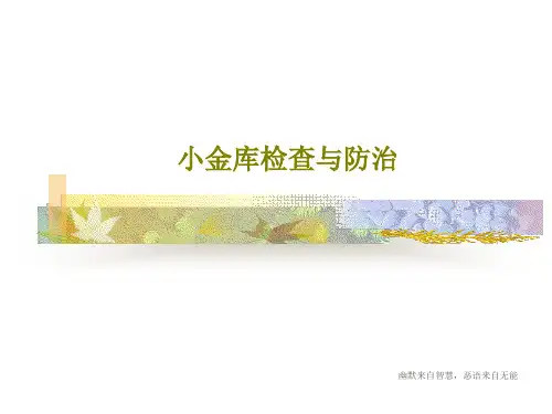 小金库检查与防治PPT文档32页