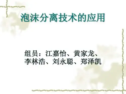 泡沫分离技术
