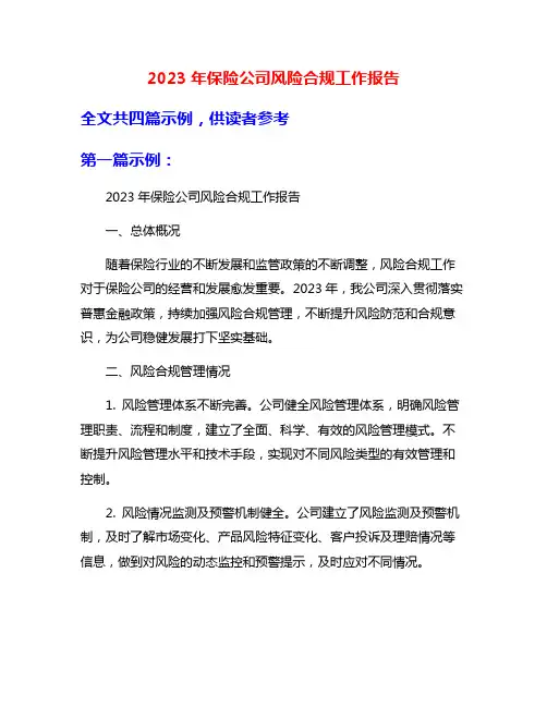 2023年保险公司风险合规工作报告