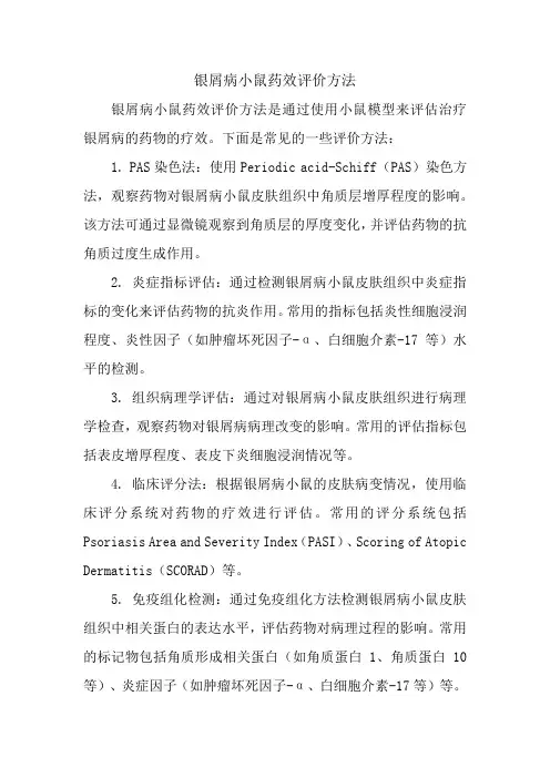 银屑病小鼠药效评价方法
