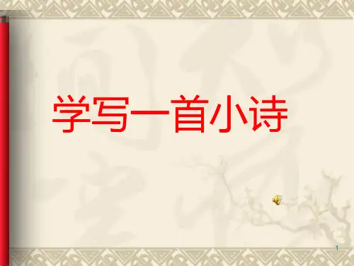 学写一首小诗PPT课件