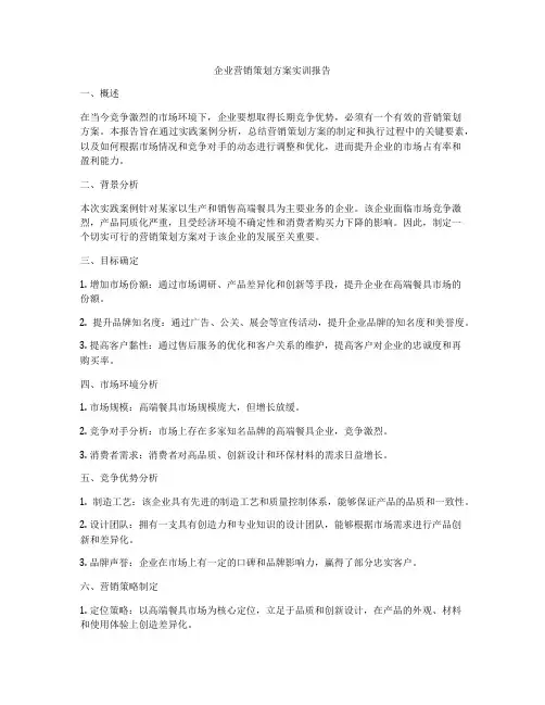 企业营销策划方案实训报告