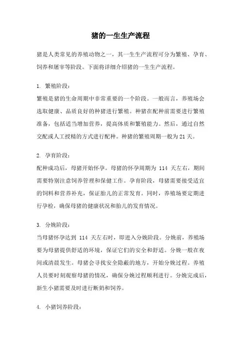 猪的一生生产流程
