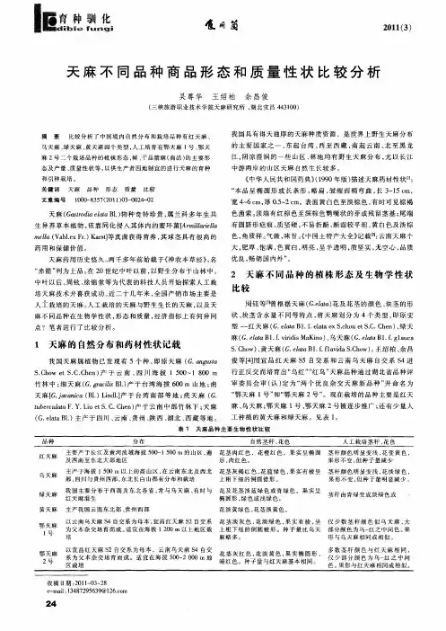 天麻不同品种商品形态和质量性状比较分析