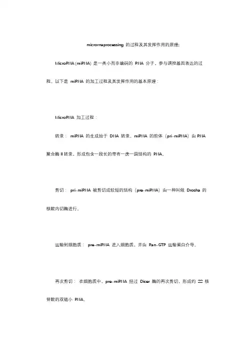 micrornaprocessing 的过程及其发挥作用的原理;