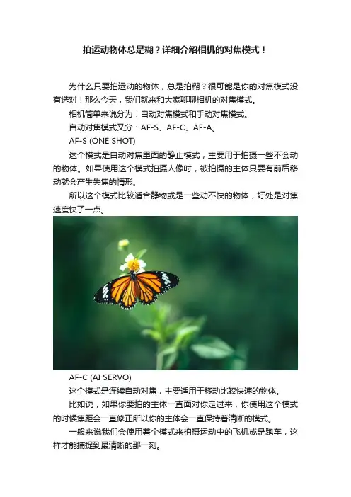 拍运动物体总是糊？详细介绍相机的对焦模式！