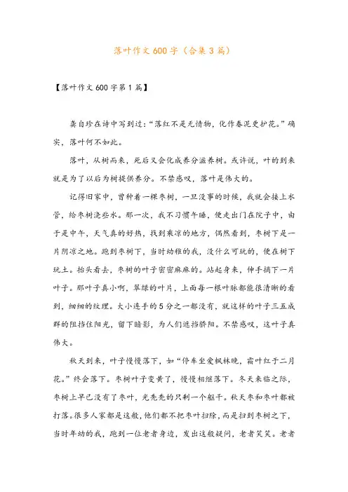 落叶作文600字(合集3篇)