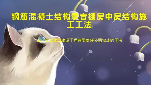 钢筋混凝土结构录音棚房中房结构施工工法