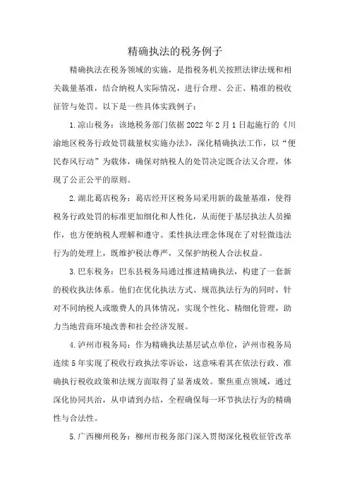 精确执法的税务例子