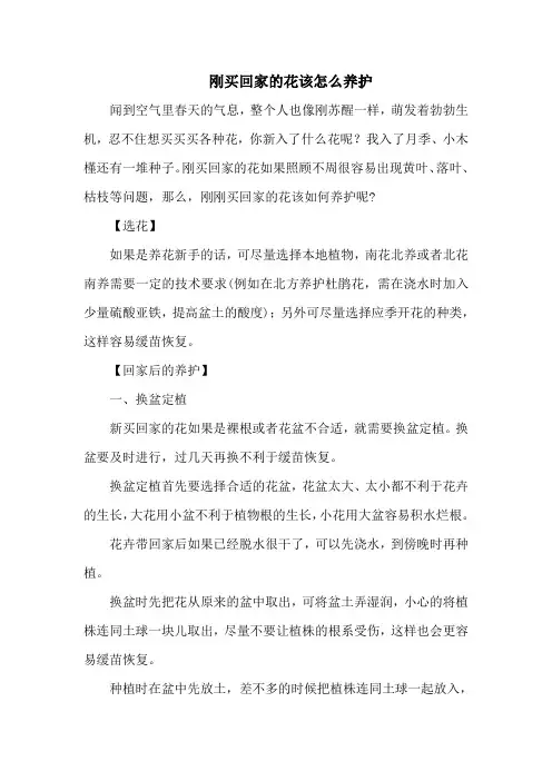 刚买回家的花该怎么养护