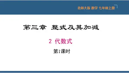 代数式(第1课时)七年级数学上册课件24张(北师大版)