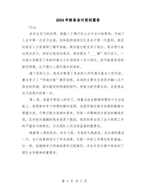 2024年财务会计实训报告（3篇）