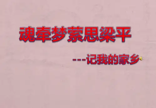 我的家乡—重庆梁平.