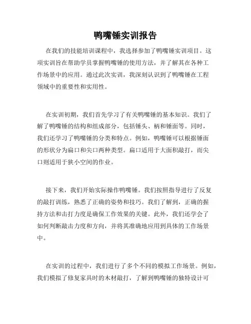 鸭嘴锤实训报告
