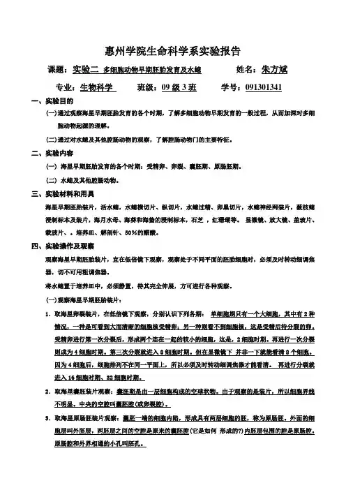 实验二 多细胞动物早期胚胎发育及水螅