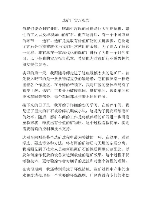 选矿厂实习报告