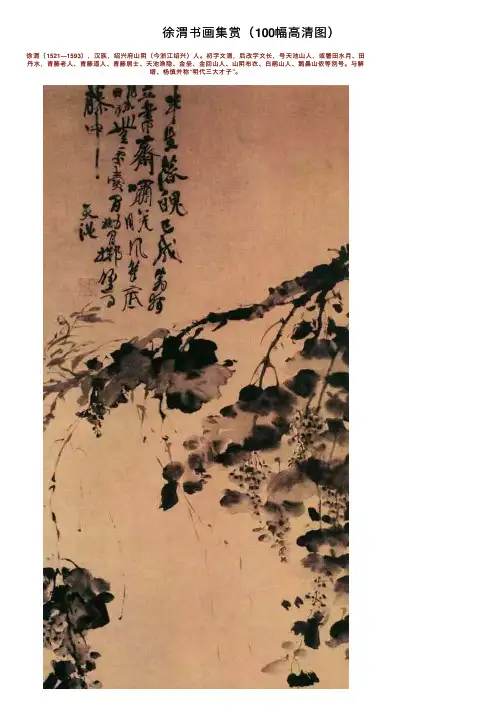徐渭书画集赏（100幅高清图）