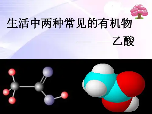 乙酸课件1