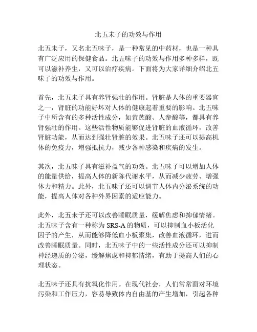 北五未子的功效与作用