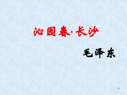 沁园春ppt课件