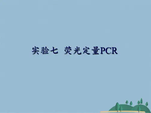 PPT荧光定量PCR(共31张PPT)