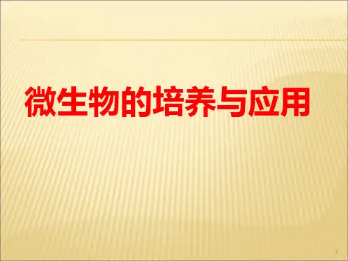 微生物的培养与应用ppt课件