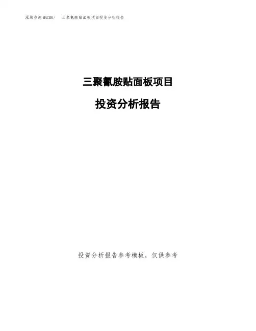 三聚氰胺贴面板项目投资分析报告(建设投资分析评价范本)