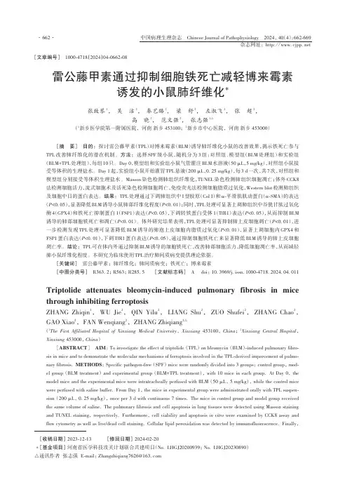 雷公藤甲素通过抑制细胞铁死亡减轻博来霉素诱发的小鼠肺纤维化