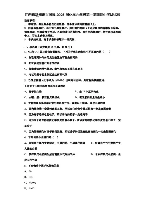 江西省赣州市兴国县2025届化学九年级第一学期期中考试试题含解析