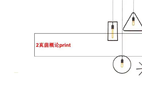 2真菌概论print