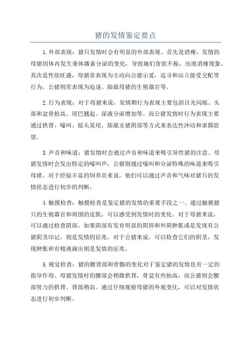 猪的发情鉴定要点