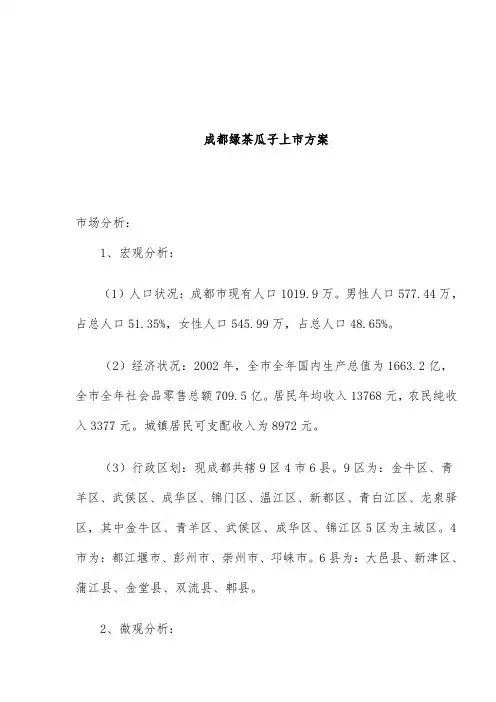 瓜子上市策划方案