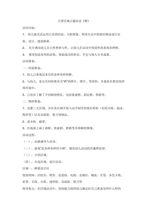 大班区域主题活动《桥》