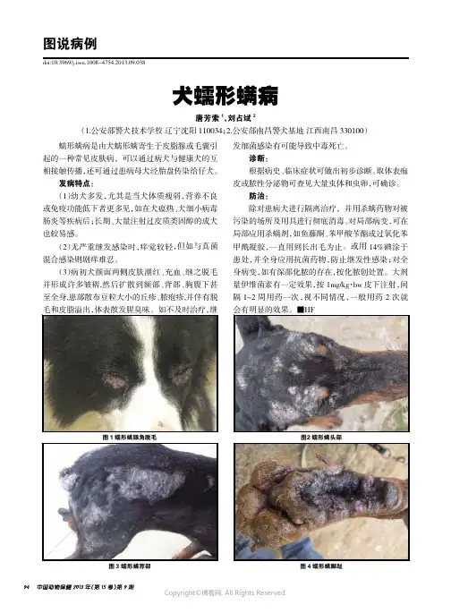 犬蠕形螨病_____