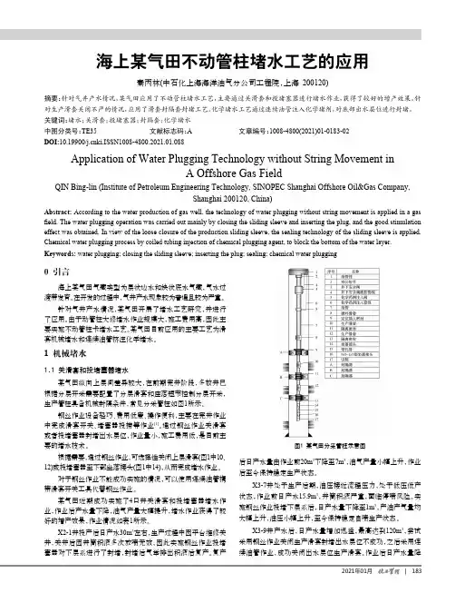 海上某气田不动管柱堵水工艺的应用