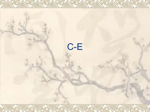 汉译英技巧PPT课件