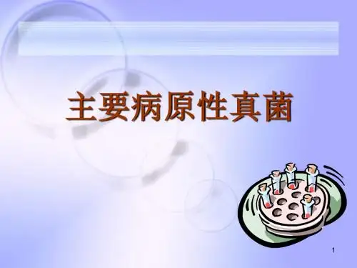 病原性真菌