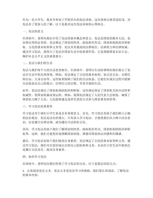 宪法讲座小学生心得体会